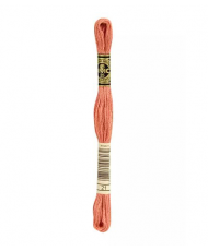 Embroidery Yarns - Mouliné special 117