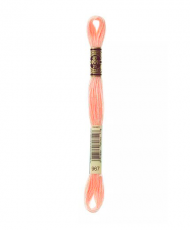 Embroidery Yarns - Mouliné special 117