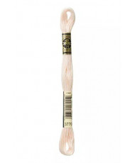 Embroidery Yarns - Mouliné special 117