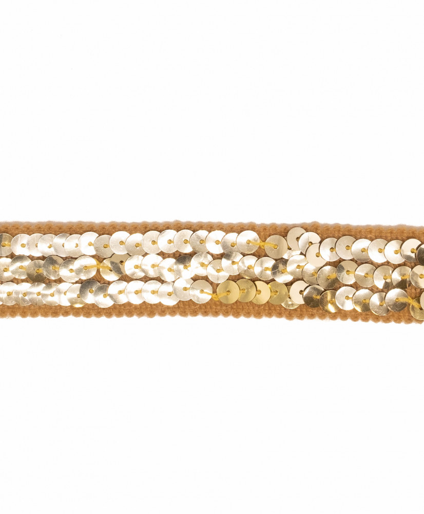 Passementerie with sequins