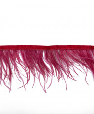 Fringe with blue/red...