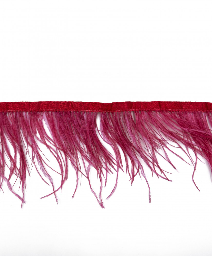 Fringe with blue/red ostrich feathers