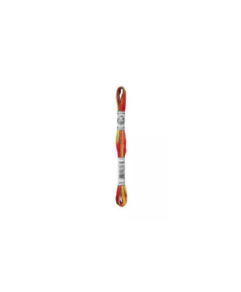 Пряжа для вышивания Moulinè Coloris